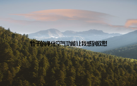 竹子的净化空气功能让我感到欣慰