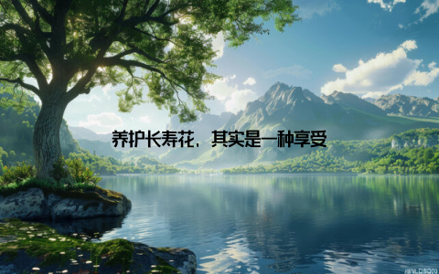 养护长寿花, 其实是一种享受