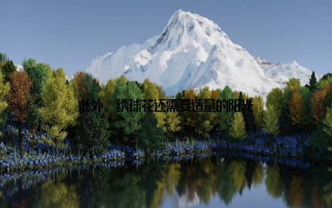此外, 绣球花还需要适量的阳光