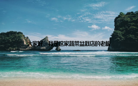 大家好, 我是这家蔬菜盆栽店的老板