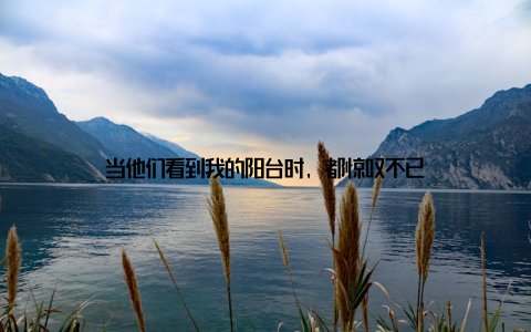 当他们看到我的阳台时, 都惊叹不已