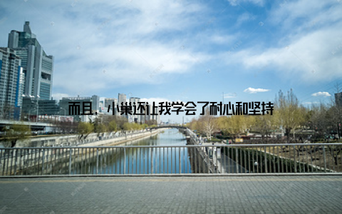 而且, 小巢还让我学会了耐心和坚持