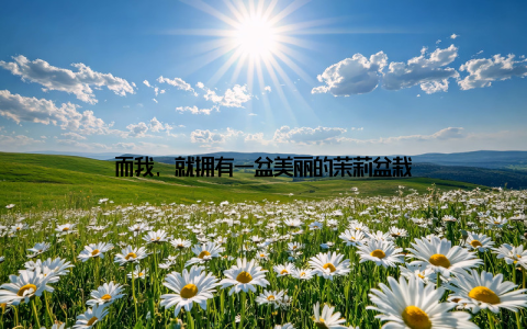 而我, 就拥有一盆美丽的茉莉盆栽