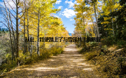 从此, 我便踏上了与雪莲共生的旅程