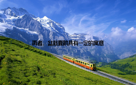 再者, 盆栽夏鹃具有一定的寓意