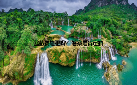 盆栽要施肥吗? 答案是肯定的