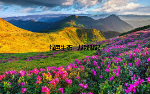 绿色生态, 从我做起