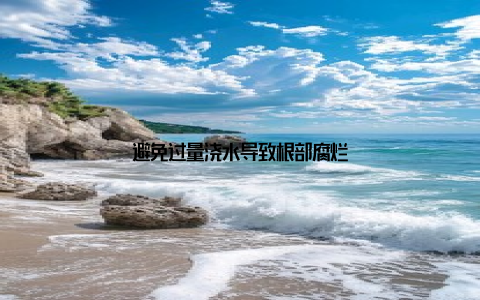 避免过量浇水导致根部腐烂