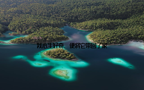 我心生好奇, 便将它带回了家