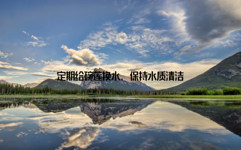 定期给碗莲换水, 保持水质清洁