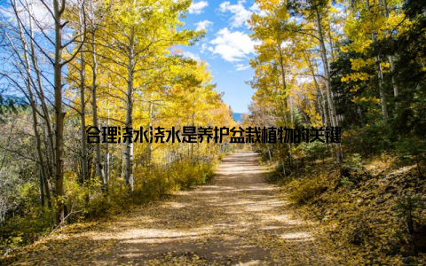 合理浇水浇水是养护盆栽植物的关键