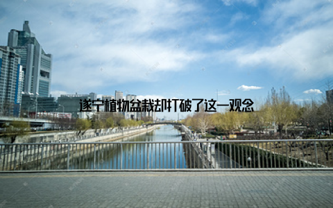 遂宁植物盆栽却打破了这一观念