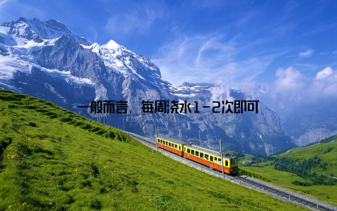 一般而言, 每周浇水1-2次即可