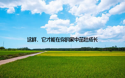 这样, 它才能在你的家中茁壮成长