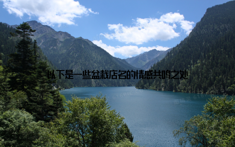 以下是一些盆栽店名的情感共鸣之处