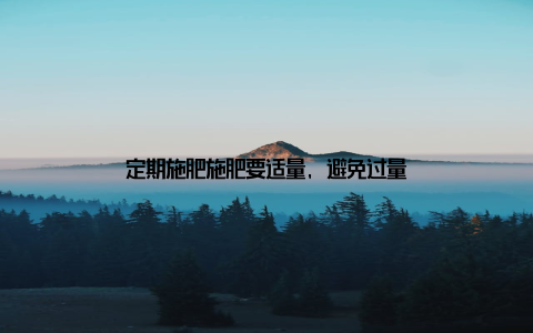 定期施肥施肥要适量, 避免过量