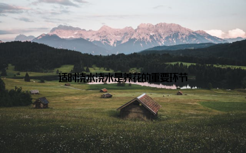 适时浇水浇水是养花的重要环节