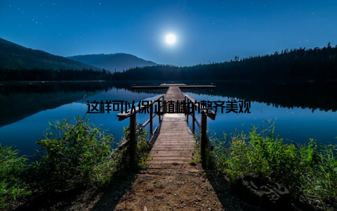这样可以保证植株的整齐美观