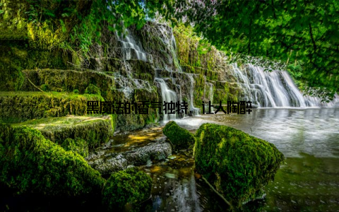 黑魔法的香气独特, 让人陶醉