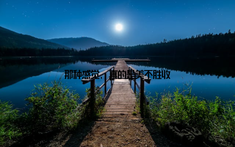 那种感觉, 真的是美不胜收