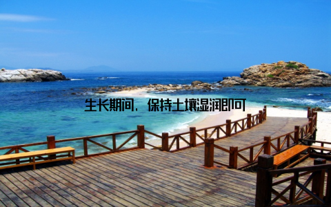 生长期间, 保持土壤湿润即可