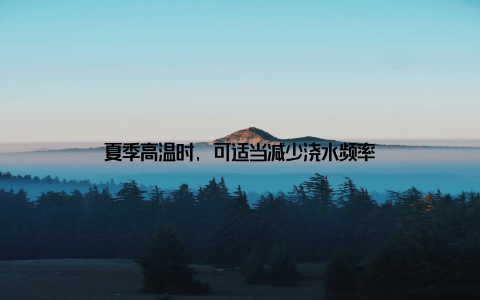 夏季高温时, 可适当减少浇水频率