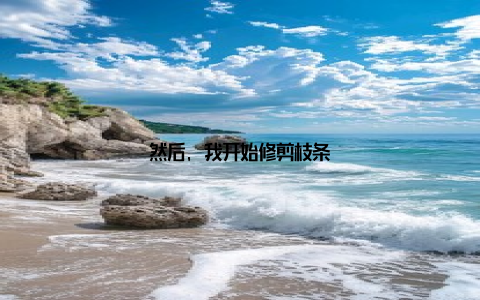 然后, 我开始修剪枝条