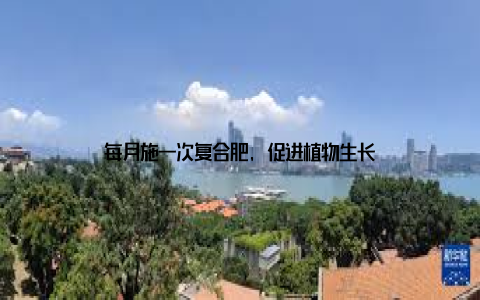 每月施一次复合肥, 促进植物生长