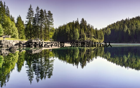 它不仅名字可爱, 外形更是精致动人