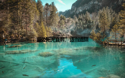 避免阳光直射, 适当遮阴
