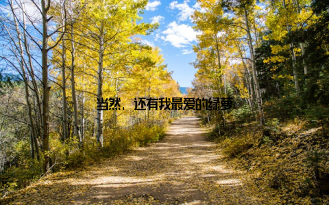 当然, 还有我最爱的绿萝