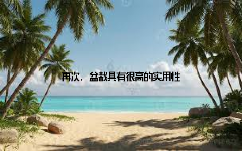 再次, 盆栽具有很高的实用性