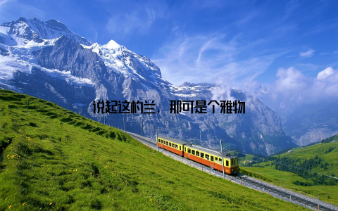 说起这杓兰, 那可是个雅物