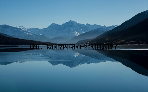 现在, 我的室内花园已经初具规模了