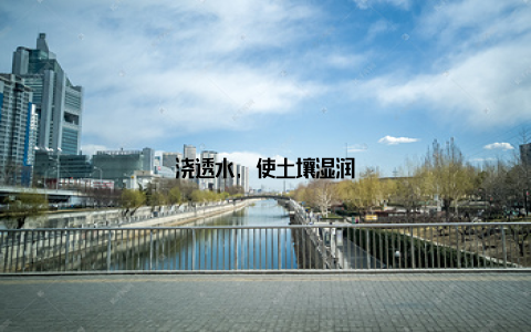 浇透水, 使土壤湿润