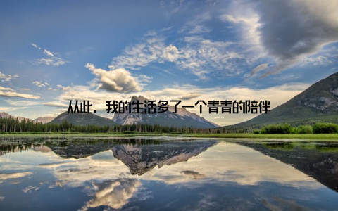从此, 我的生活多了一个青青的陪伴