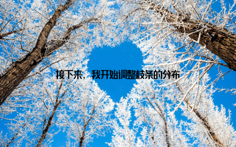 接下来, 我开始调整枝条的分布