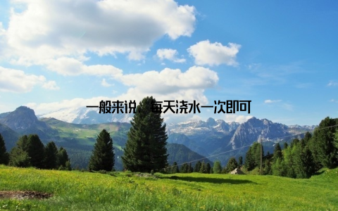 一般来说, 每天浇水一次即可