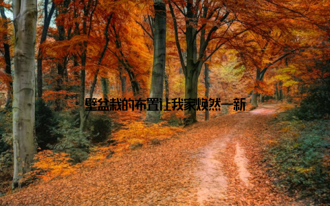 壁盆栽的布置让我家焕然一新