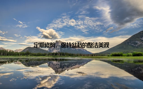 定期修剪, 保持盆栽的整洁美观