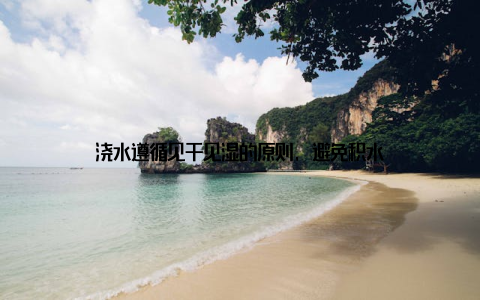 浇水遵循见干见湿的原则, 避免积水