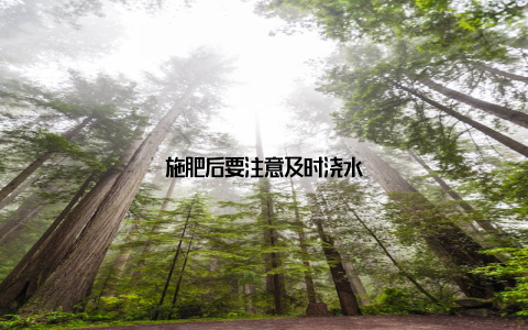 施肥后要注意及时浇水