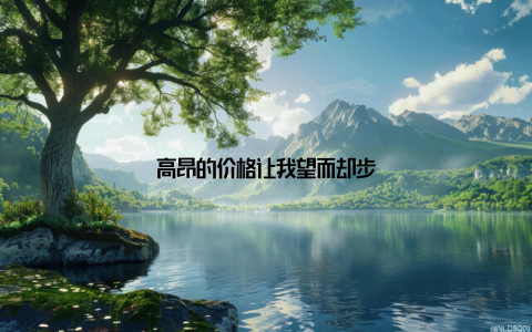 高昂的价格让我望而却步