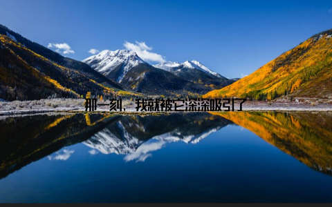 那一刻, 我就被它深深吸引了