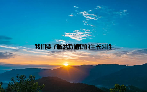 我们要了解盆栽植物的生长习性