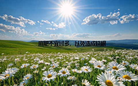 – 底肥不宜过多, 以免造成烧根