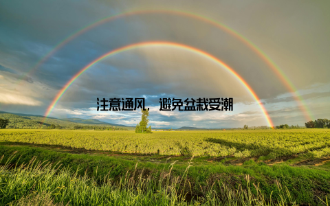 注意通风, 避免盆栽受潮