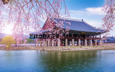 怎样盆栽无花果, 浇水是关键