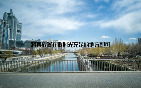 将其放置在散射光充足的地方即可