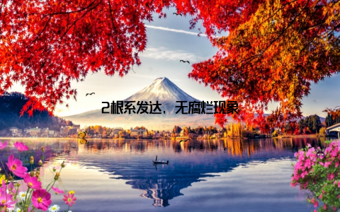 2根系发达, 无腐烂现象